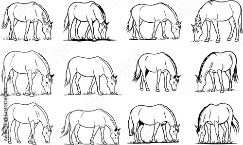Grazing Horse Line Art Vector Set | Hand Drawn Farm Animal Clipart for Coloring Book, Print, Sublimation and Vintage Design Projects with transparent background .