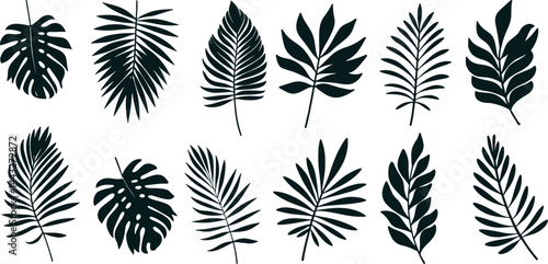 Set of Tropical leaves collection vector