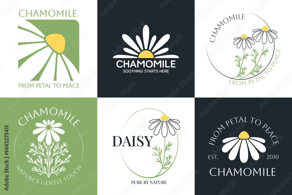 Fototapeta premium Set of vector logo of chamomile flower. Modern hand drawn vector daisy icons. Branding concept idea for herbal medicine, essential oil brand identity, herbal tea wellness, and beauty products
