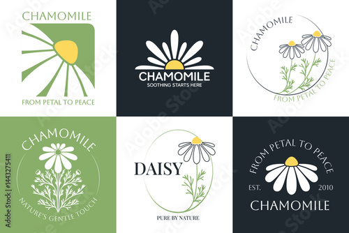 Set of vector logo of chamomile flower. Modern hand drawn vector daisy icons. Branding concept idea for herbal medicine, essential oil brand identity, herbal tea wellness, and beauty products