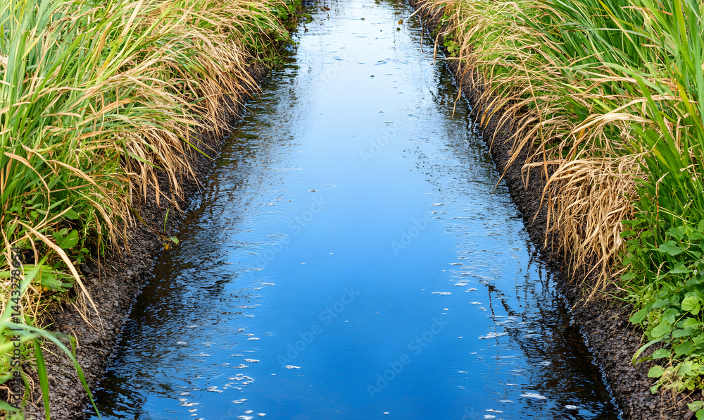 Serene canal scene with lush green and golden grasses lining the crystal-clear blue water. Perfect for nature, tranquility, and peace themes. Serene canal scene with lush green and golden grasses lining the crystal-clear blue water. Perfect for nature, tranquility, and peace themes.