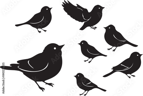 Cute Birds set silhouette vector on white background