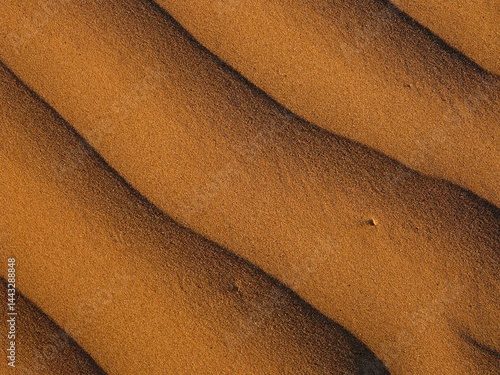 Close-up of sandy sunlit dunes in Richtersveld