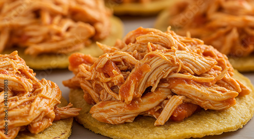 Chicken Tinga Tostadas: Crispy corn tortillas topped with flavorful shredded chicken in a smoky chipotle tomato sauce. Delicious and easy!
