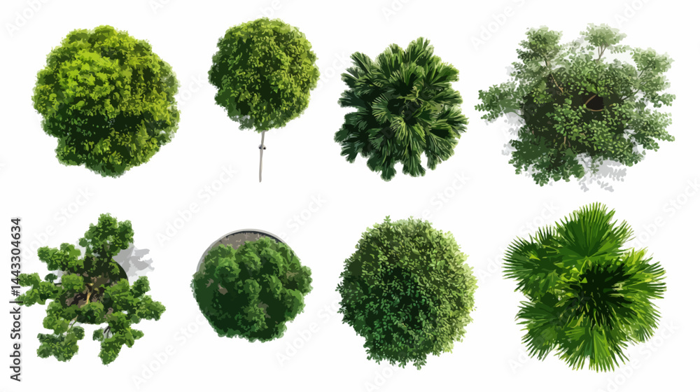 Fototapeta premium set of green lettuce isolated on white vector