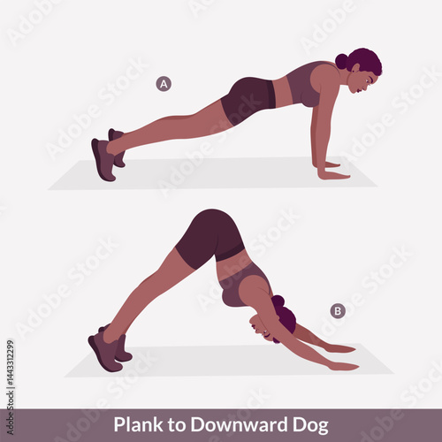 Plank to Downward Dog exercise, Women workout fitness, aerobic and exercises. Vector Illustration