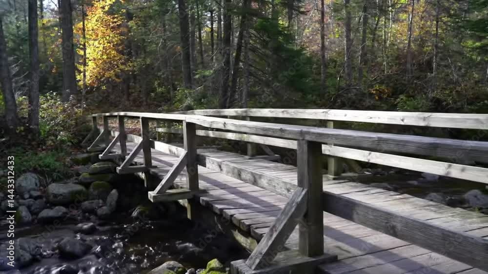 Scenic 4K Wooden Bridge over the River – Peaceful Landscape and Flowing Water Scenic 4K Wooden Bridge over the River – Peaceful Landscape and Flowing Water