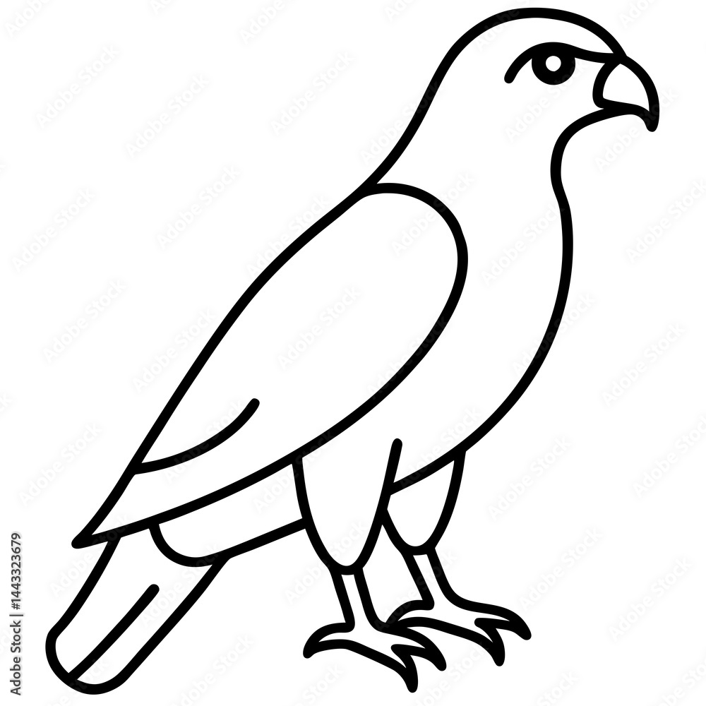 Fototapeta premium Sleek Hawk Outline Vector Illustration