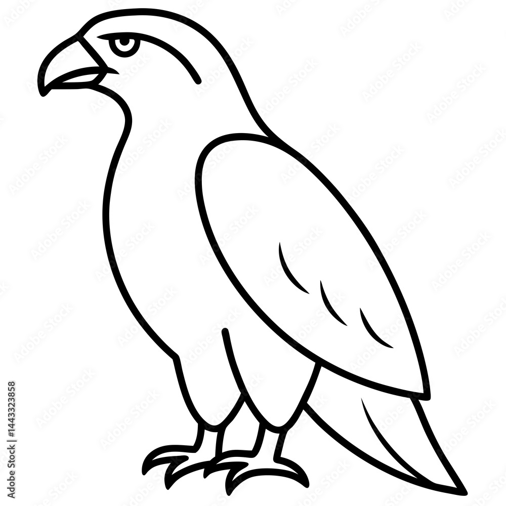 Fototapeta premium Sleek Hawk Outline Vector Illustration