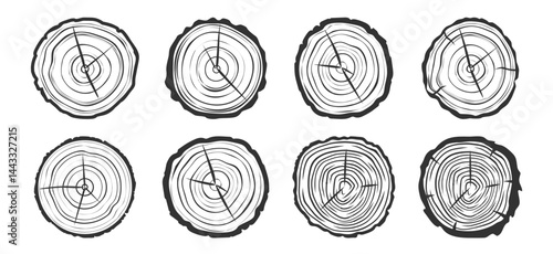 Tree Trunk Rings Vector Set – Hand Drawn Wood Grain Cross Sections with Saw Cut Texture