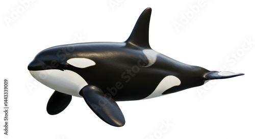 Isolated Orca Whale Aquatic Mammal Marine Animal