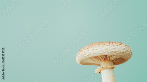 Obraz na płótnie Wild mushroom cap on light pastel green background, showcasing its unique texture and shape, evokes sense of nature beauty w salonie