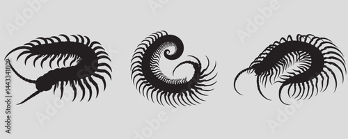 Silhouettes of centipedes in various curved positions, showcasing their segmented bodies and numerous legs on a light gray background