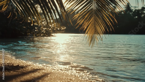 Tropical beach sunset, calm waters, palm leaves