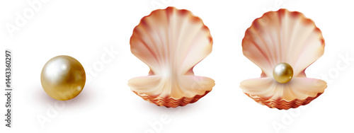 Vector realistic illustration of a golden pearl and two open seashells, one empty and one holding the pearl, on a white background. Ideal for jewelry, marine, or luxury-themed design.