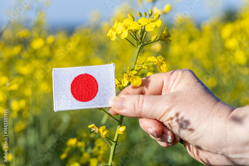 Japan agriculture. Japanese flag and rapeseed field. Concept of the agricultural industry of the land of the rising sun. Food and biofuel production, blooming rapeseed field. close up