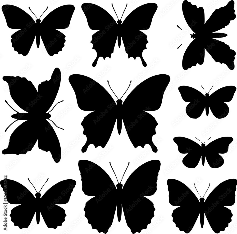 collections of butterfly silhouettes vector illustration collections of butterfly silhouettes vector illustration