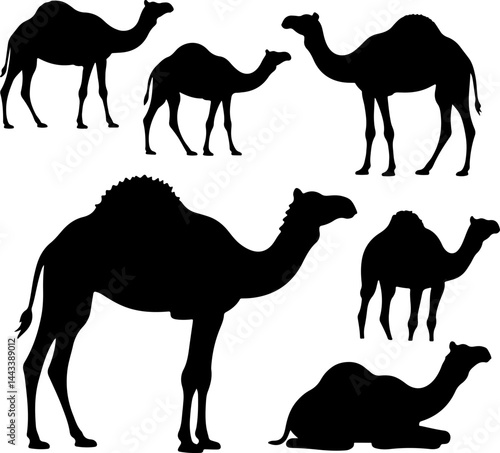 collections of camel silhouettes vector illustration in various poses