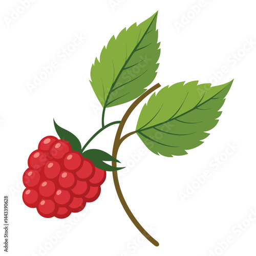branch with red berries