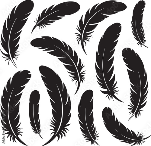 Feather silhouettes, long feathers, curved shapes, floating, tribal style, stylized natural vector clipart
