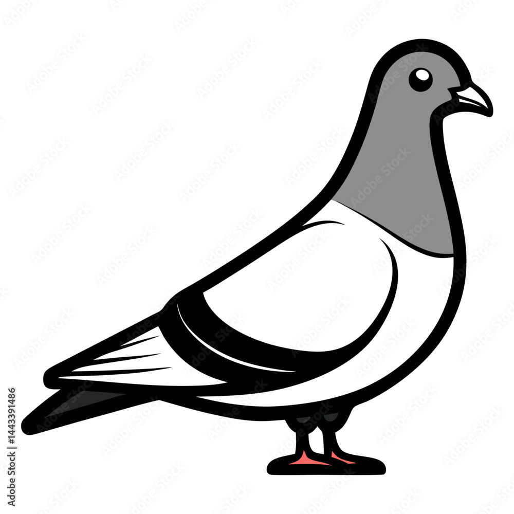 Obraz premium Minimalist and detailed a pigeon bird standing
