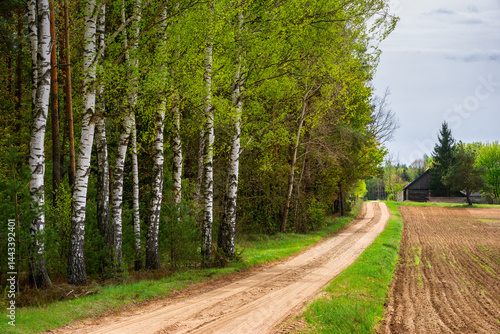 Obraz na płótnie Wiosna na skraju Puszczy Knyszyńskiej , Podlasie, Polska w salonie