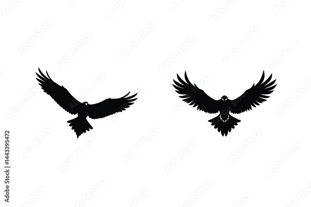 Fototapeta premium Two Eagles Silhouettes Flying On A White Background Vector Illustration