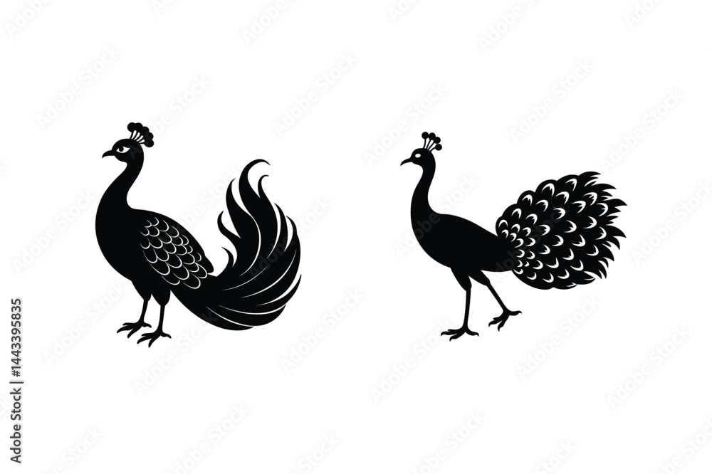 Two Elegant Peacock Silhouette Vector Illustrations On A Clean White Background Two Elegant Peacock Silhouette Vector Illustrations On A Clean White Background