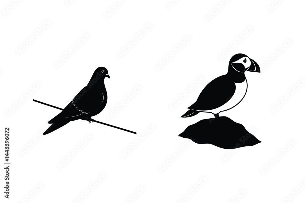 Black And White Vector Illustration Of Pigeon On Wire And Puffin On Rock Black And White Vector Illustration Of Pigeon On Wire And Puffin On Rock