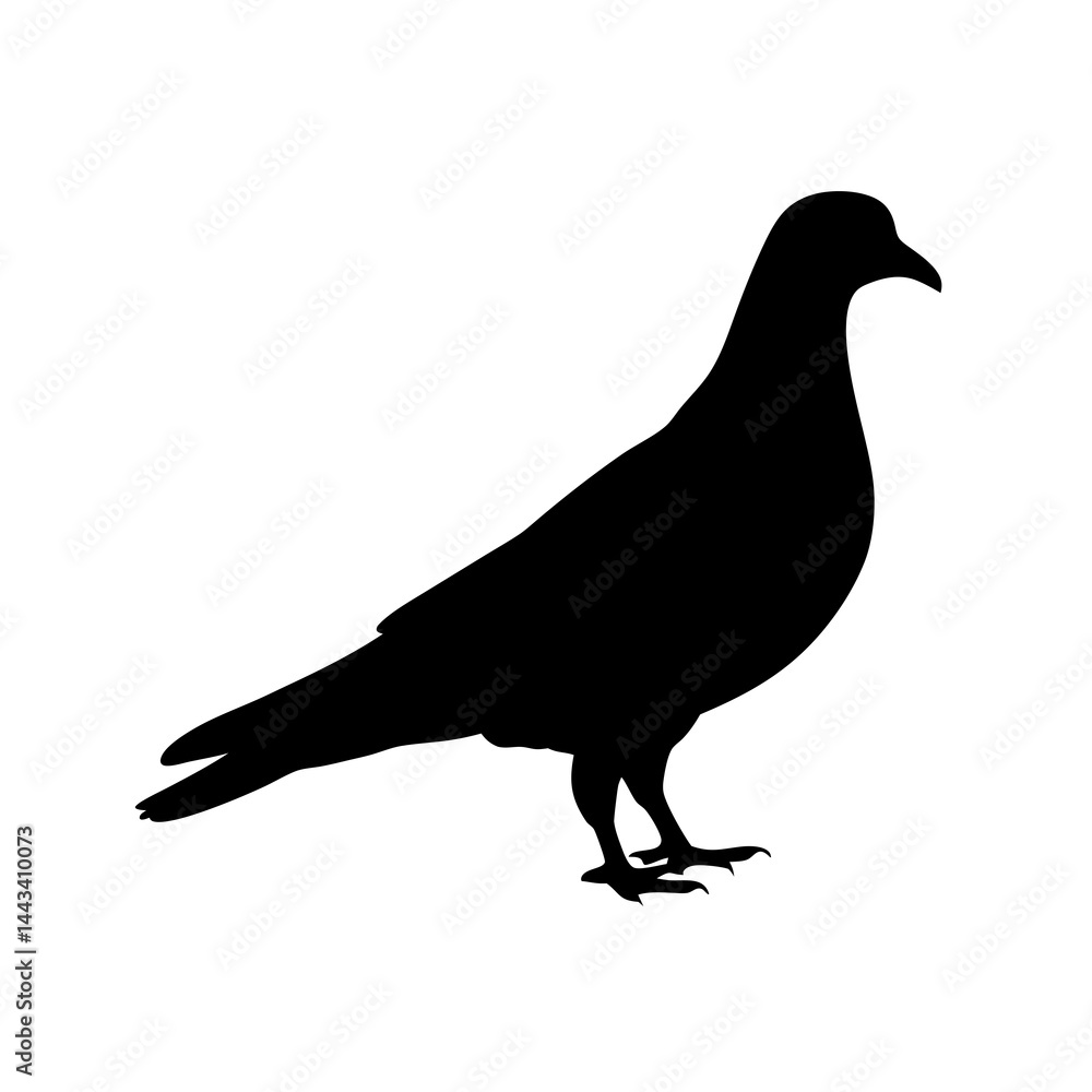 Fototapeta premium Minimalist and detailed silhouette of a pigeon bird standing on the ground