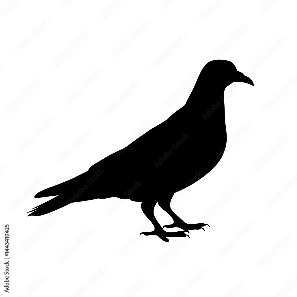Fototapeta premium Minimalist and detailed silhouette of a pigeon bird standing on the ground