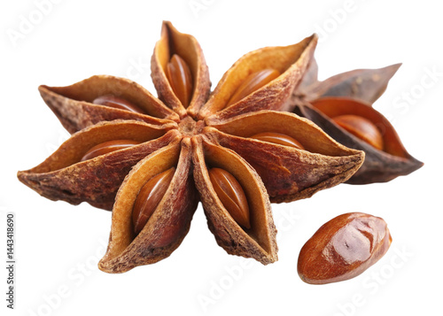 three star anise spices, one with a loose seed, isolated on white background