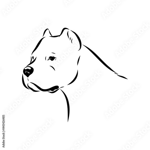 Argentine Great Dane vector sketch beautiful Great Dane line art images