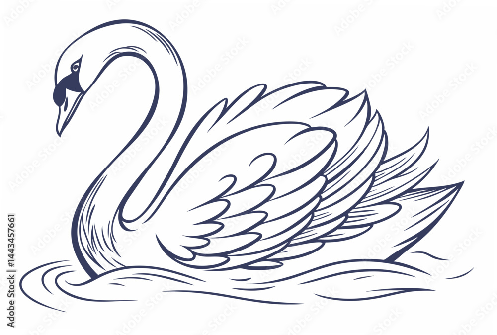 Fototapeta premium swans on the water