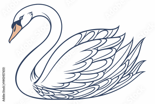swan on the water
