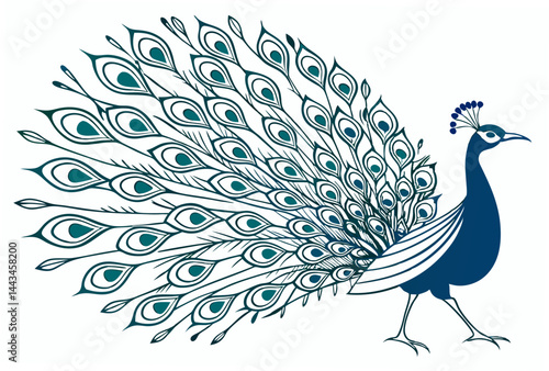 peacock with feathers