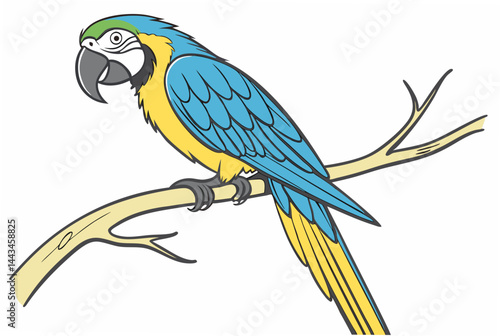 parrot on branch