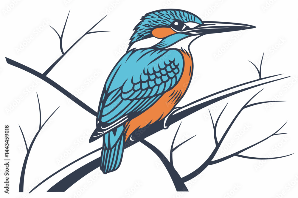 Fototapeta premium bird on a branch