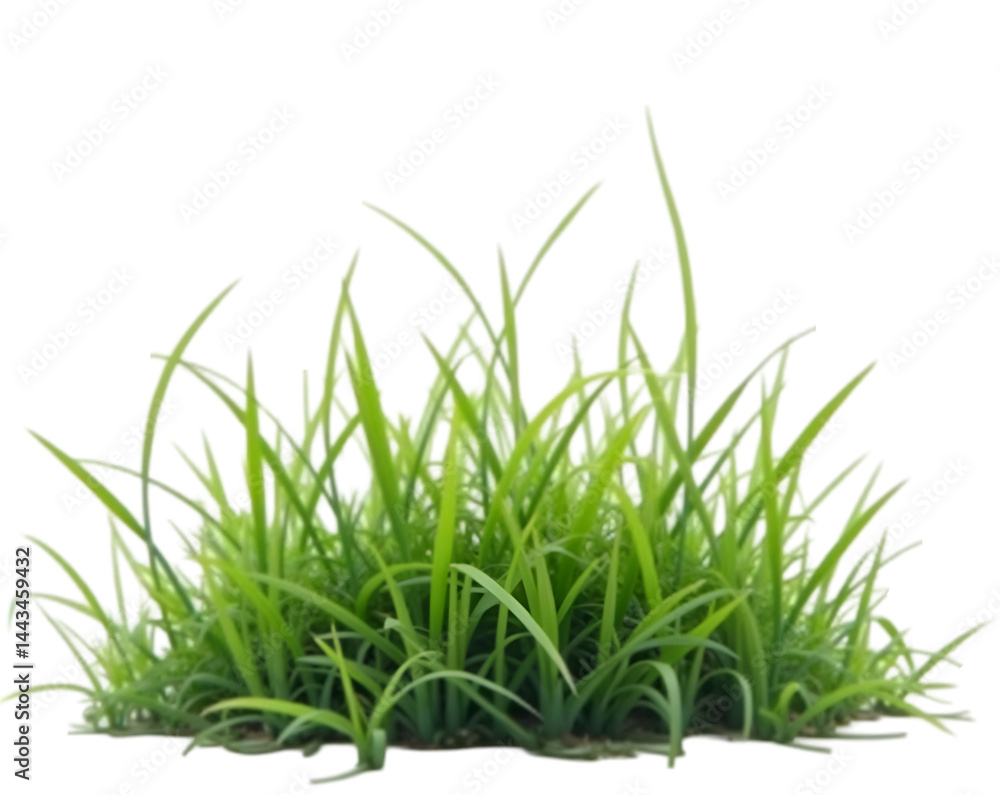 Fototapeta premium Isolated green grass patch on white showcases nature's beauty and provides a versatile graphic element for design projects and creative compositions