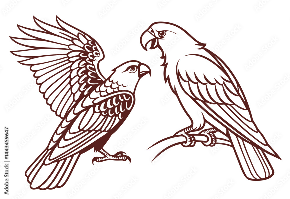 Fototapeta premium vector illustration of two birds