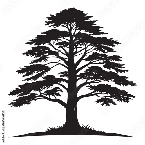 A  Cedar Tree illustration, vector art, black lines, isolated on white background,