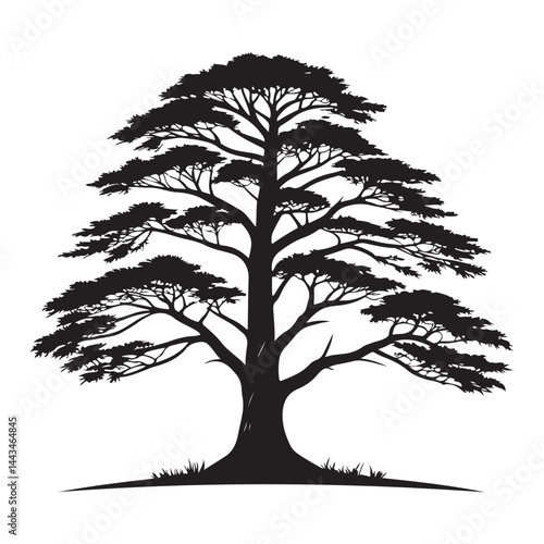 A  Cedar Tree illustration, vector art, black lines, isolated on white background,