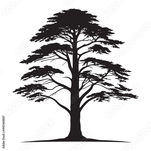 A  Cedar Tree illustration, vector art, black lines, isolated on white background,