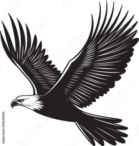 Vector illustration depicts a flying eagle with outstretched wings, a powerful bird silhouette in flight