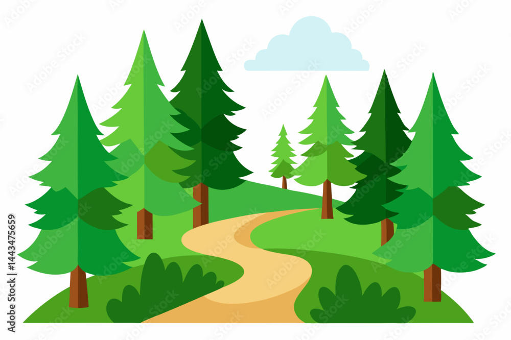 Fototapeta premium trees in the forest