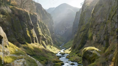 Mountain Valley with Stream and Moss - Covered Rocks