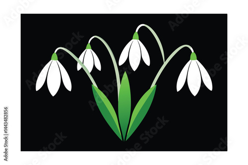 snowdrops in snow