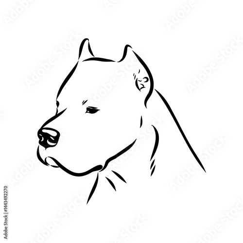 Argentine Great Dane vector sketch beautiful Great Dane line art images