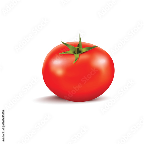 Realistic illustration of fresh tomatoes isolated on white background
