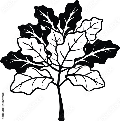 fiddle leaf fig tree silhouette